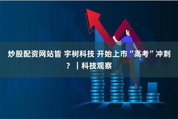 炒股配资网站皆 宇树科技 开始上市“高考”冲刺？｜科技观察