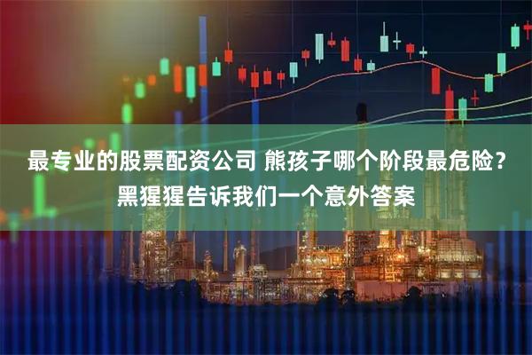 最专业的股票配资公司 熊孩子哪个阶段最危险？黑猩猩告诉我们一个意外答案